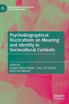 portada Psychobiographical Illustrations on Meaning and Identity in Sociocultural Contexts