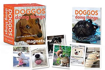 portada Doggos Doing Things Magnets (rp Minis) (in English)