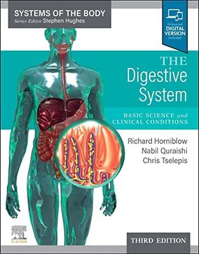 portada The Digestive System: Systems of the Body Series (en Inglés)
