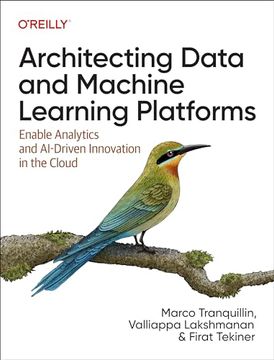 portada Architecting Data and Machine Learning Platforms: Enable Analytics and Ai-Driven Innovation in the Cloud 