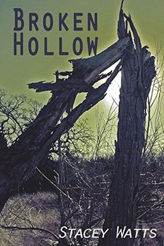 portada Broken Hollow (en Inglés)