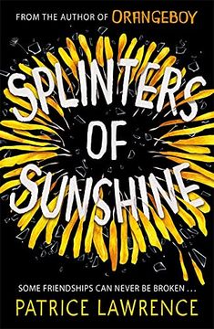 portada Splinters of Sunshine (Black Stories Matter) (in English)