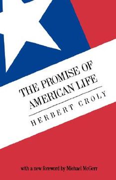 portada the promise of american life: imprisonment in the world (en Inglés)