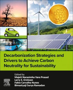 portada Decarbonization Strategies and Drivers to Achieve Carbon Neutrality for Sustainability (en Inglés)