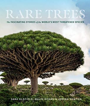 portada Rare Trees: The Fascinating Stories of the World’S Most Threatened Species (en Inglés)