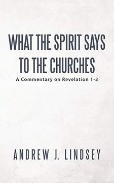 portada What the Spirit Says to the Churches: A Commentary on Revelation 1-3 (en Inglés)
