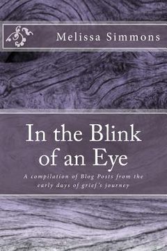 portada In the Blink of an Eye: A Compilation of Blog Posts from the Early Days of Grief's Journey (in English)