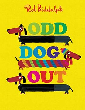 portada Odd dog out (in English)