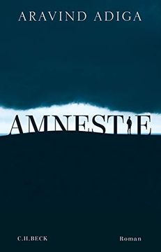 portada Amnestie: Roman (en Alemán)