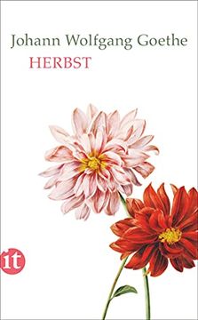 portada Herbst (Insel Taschenbuch) (in German)