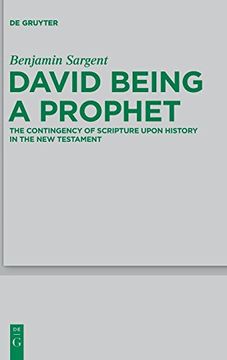 portada David Being a Prophet (Beihefte zur Zeitschrift fur die Neutestamentliche Wissenschaft) (en Inglés)