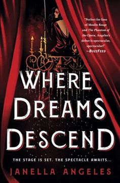 portada Where Dreams Descend: A Novel: 1 (Kingdom of Cards) (en Inglés)