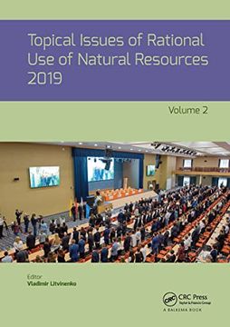 portada Topical Issues of Rational use of Natural Resources, Volume 2 (en Inglés)