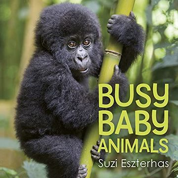 portada Busy Baby Animals (in English)