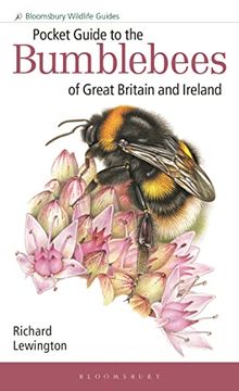 portada Pocket Guide to the Bumblebees of Great Britain and Ireland (Bloomsbury Wildlife Guides) (en Inglés)