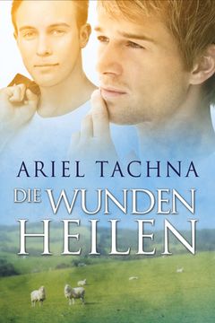 portada Die Wunden Heilen: Volume 5 (New Edition, New) (in German)