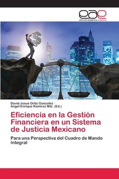 portada Eficiencia en la Gestión Financiera en un Sistema de Justicia Mexicano (in Spanish)