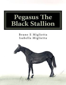 portada pegasus the black stallion (en Inglés)