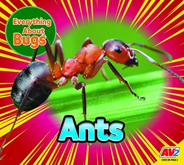 portada Ants (in English)