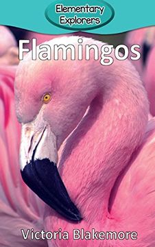 portada Flamingos (Elementary Explorers)