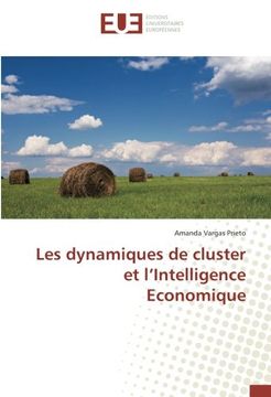 portada Les dynamiques de cluster et l’Intelligence Economique (French Edition)