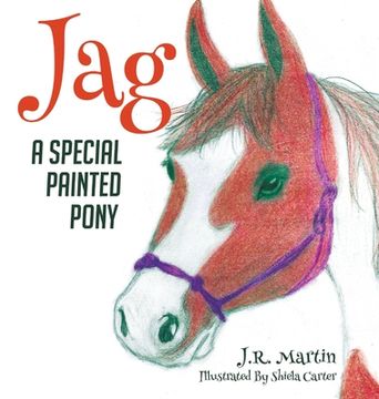 portada Jag: A Special Painted Pony (en Inglés)