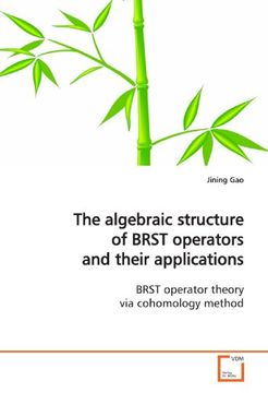 portada The Algebraic Structure of Brst Operators and Their Applications (in German)
