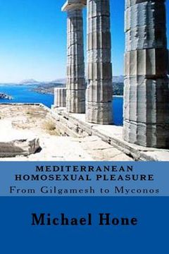 portada Mediterranean Homosexual Pleasure: From Gilgamesh to Myconos (en Inglés)