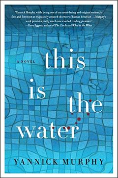 portada This Is the Water: A Novel (P.S.)