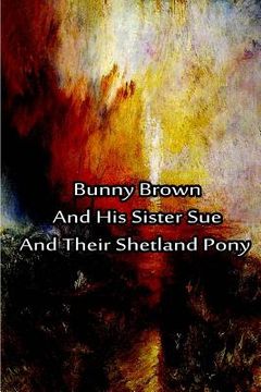 portada Bunny Brown And His Sister Sue And Their Shetland Pony (en Inglés)