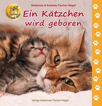 portada Ein Kätzchen Wird Geboren (in German)