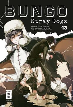 portada Bungo Stray Dogs 13