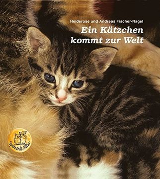 portada Ein Kätzchen Kommt zur Welt (en Alemán)