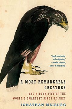 portada A Most Remarkable Creature: The Hidden Life of the World'S Smartest Birds of Prey (en Inglés)