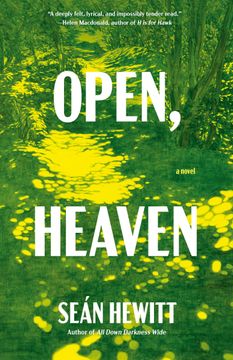 portada Open, Heaven: A Novel (en Inglés)