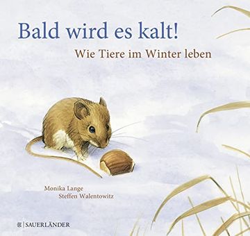 portada Bald Wird es Kalt! Kinder Wissen Mehr! (en Alemán)
