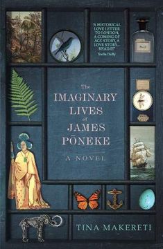 portada The Imaginary Lives of James Poneke (en Inglés)