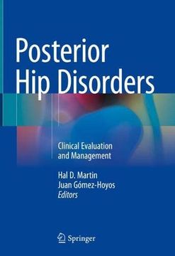portada Posterior Hip Disorders: Clinical Evaluation and Management (in English)