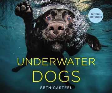 portada underwater dogs (en Inglés)