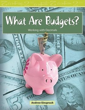 portada what are budgets?