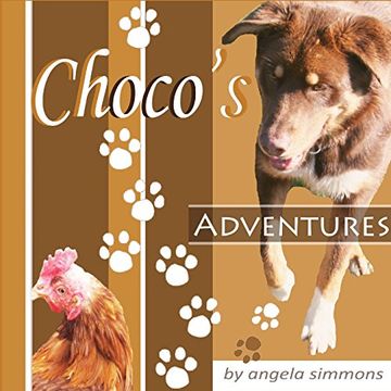 portada Choco's Adventures (Stoires for the Grandchildren)