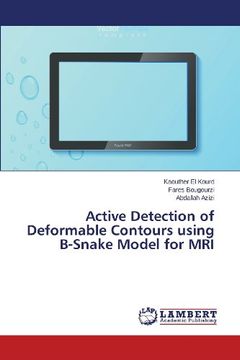 portada Active Detection of Deformable Contours using B-Snake Model for MRI