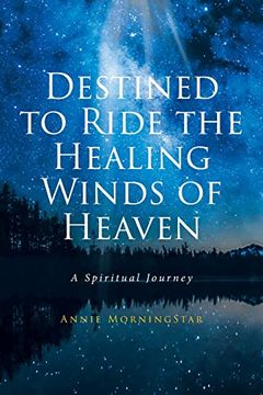 portada Destined to Ride the Healing Winds of Heaven: A Spiritual Journey (en Inglés)
