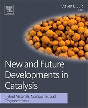 portada New and Future Developments in Catalysis: Hybrid Materials, Composites, and Organocatalysts (en Inglés)