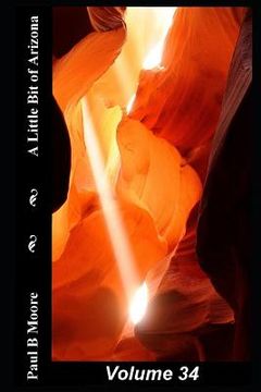 portada A Little Bit of Arizona: Volume 34 (en Inglés)