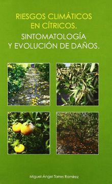 portada Riesgos Climáticos en Cítricos: Sintomatología y Evolución de Daños (in Spanish)
