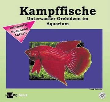 portada Kampffische