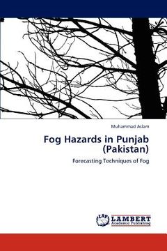 portada fog hazards in punjab (pakistan) (en Inglés)