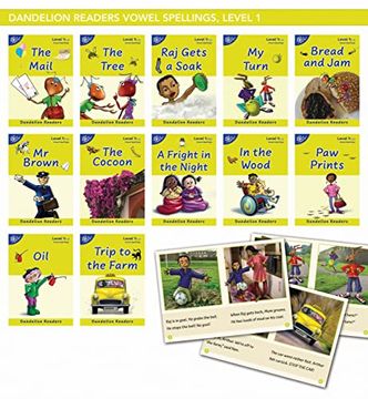 portada Phonic Books Dandelion Readers Vowel Spellings Level 1 the Mail: Decodable Books for Beginner Readers Vowel Teams (in English)