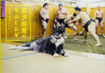 portada Mori and Mugi, the Sumo Stable Cats